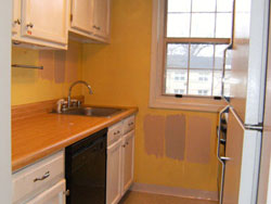 Kitchen Makeovers